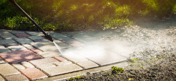 Best Roof Cleaning and Mildew Removal in Baxter, TN
